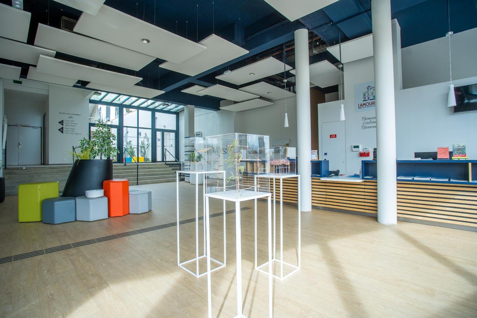 Cis Lamourelle Centre International De Sejour Καρκασόν Εξωτερικό φωτογραφία